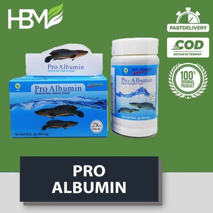 DISTRIBUTOR SUPLIER GROSIR PROALBUMIN KAPSUL IKAN KUTUK ALBUMIN