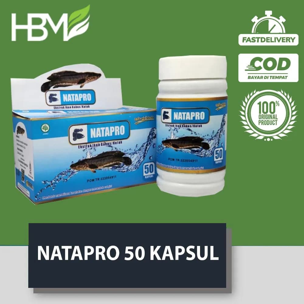 DISTRIBUTOR SUPLIER GROSIR NATAPRO KAPSUL ALBUMIN KAPSUL IKAN KUTUK 50 KAPSUL